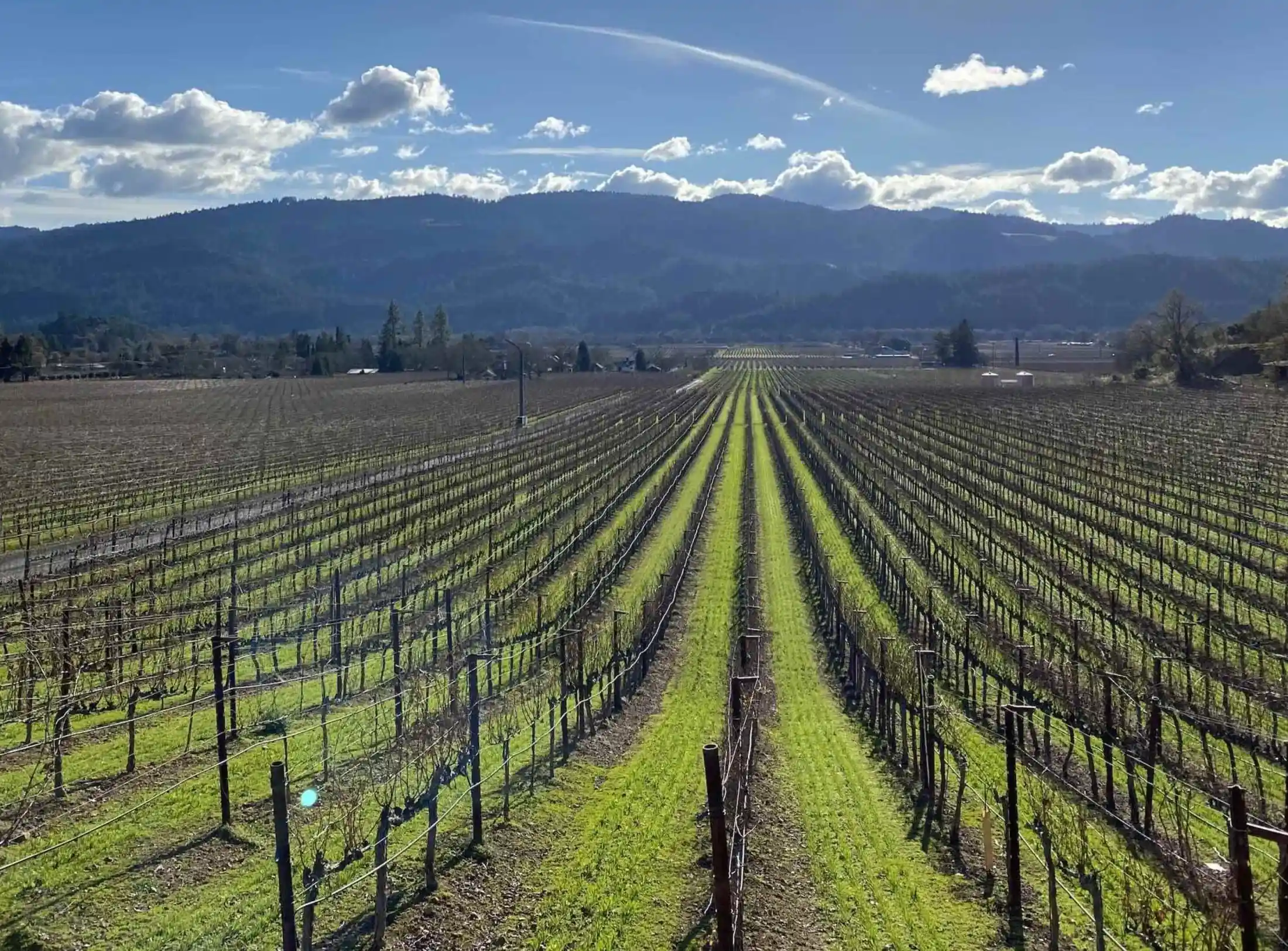 10 Top California Wine Tastings That Won’t Disappoint