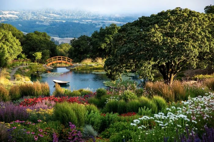 Beyond Wine Tasting: Sonoma’s Coursey Graves Delivers a Luxe Experience