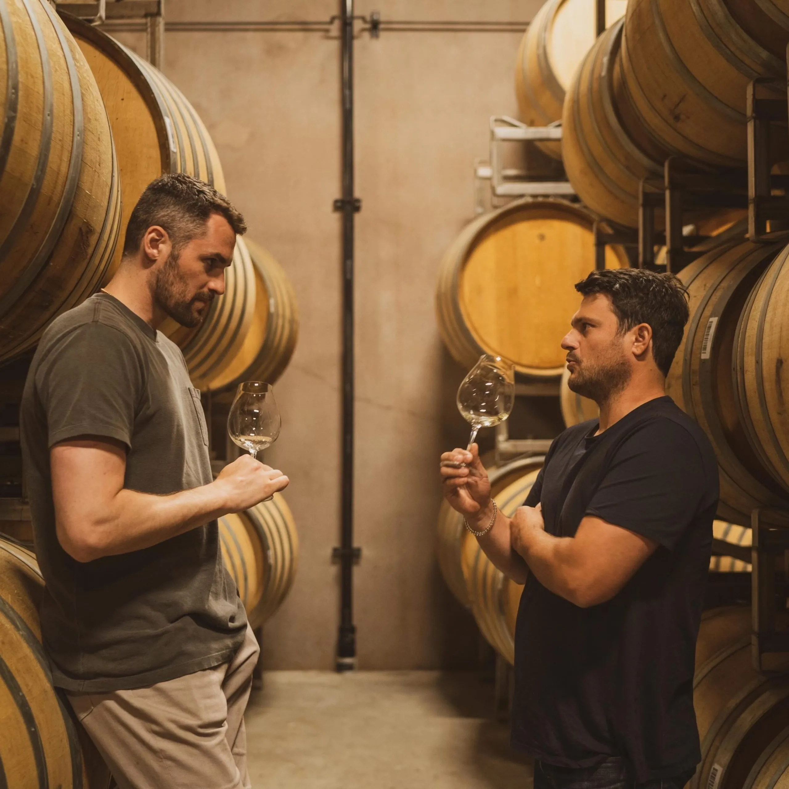 Resilience is a Pinot Noir Rooted in Healing and Humanity