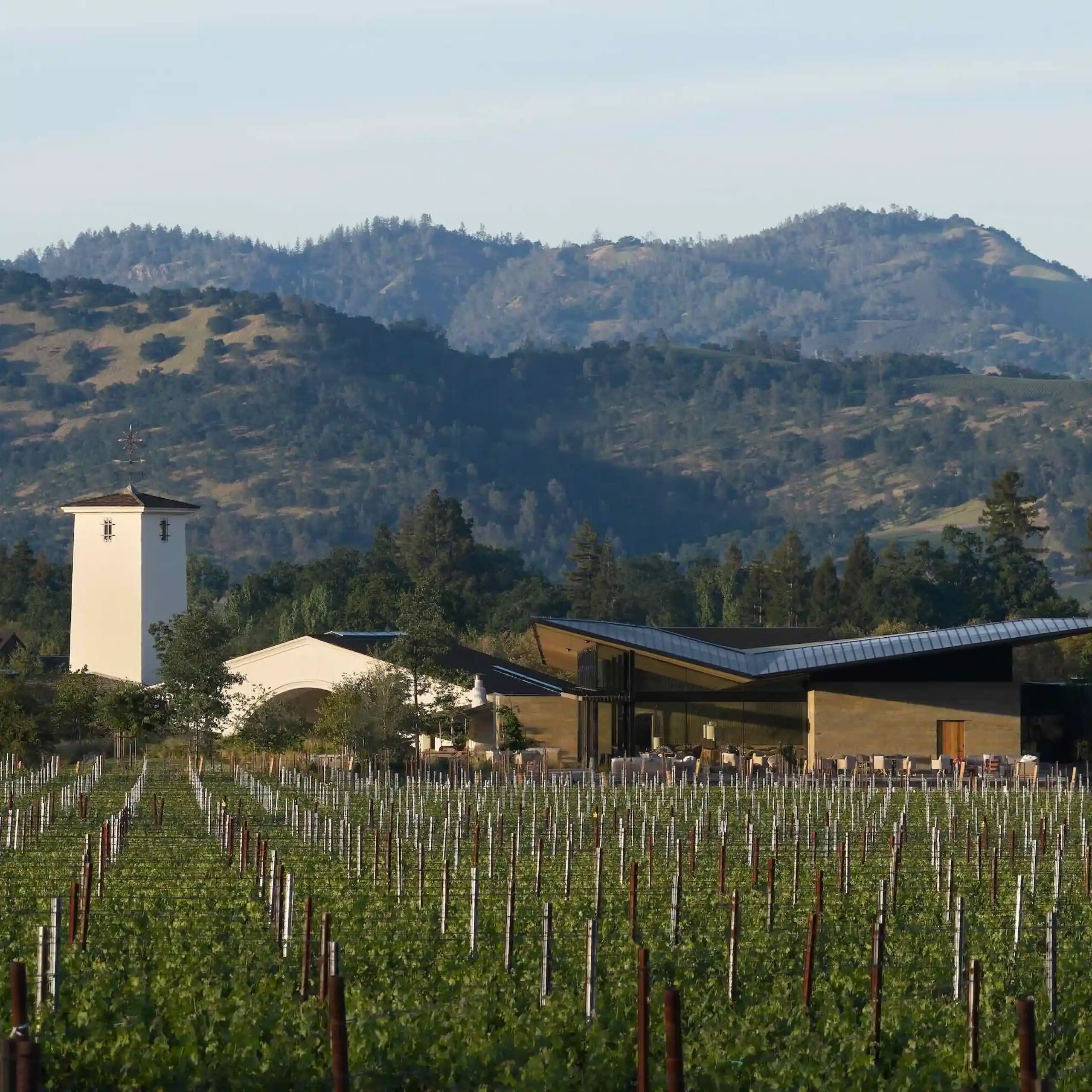 Robert Mondavi Winery Reopens After a Fabulous Transformation
