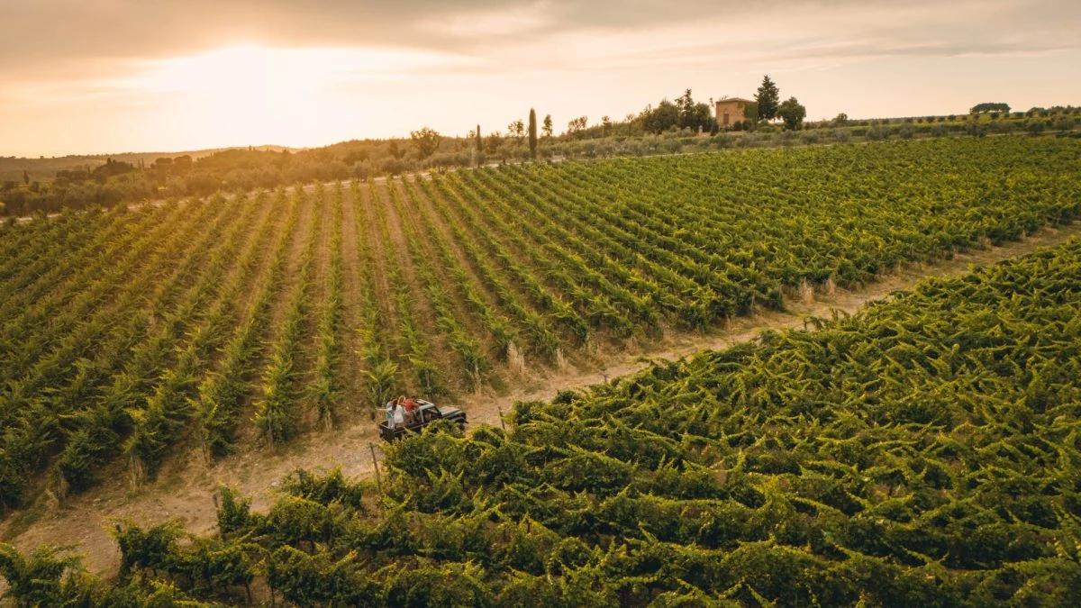 Vallepicciola: Where Vineyards Meet the Tuscan Sky